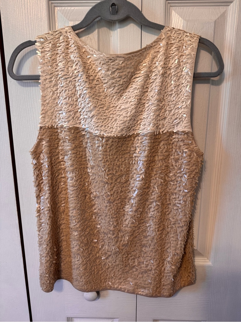 J.Crew Woman’s Size Medium Sequined Sleeveless Embellished Top Champagne - Picture 7 of 13